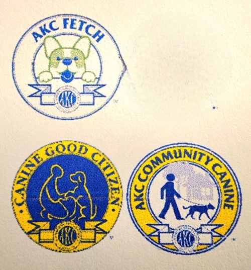 Fetch, CGC, CGCA